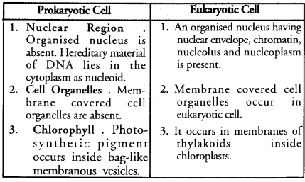 The Fundamental Unit of Life Class 9 Important Questions Science Chapter 5 image - 7