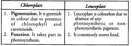 The Fundamental Unit of Life Class 9 Important Questions Science Chapter 5 image - 8