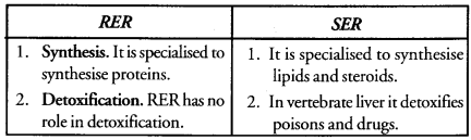 The Fundamental Unit of Life Class 9 Important Questions Science Chapter 5 image - 9