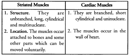 Tissues Class 9 Important Questions Science Chapter 6 image - 10