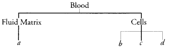 Tissues Class 9 Important Questions Science Chapter 6 image - 20