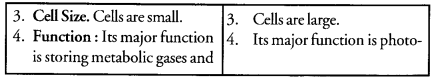 Tissues Class 9 Important Questions Science Chapter 6 image - 5