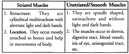 Tissues Class 9 Important Questions Science Chapter 6 image - 9