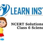 NCERT Solutions for Class 6 Science