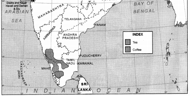 Geography Class 12 Important Questions Chapter 5 Land Resources and Agriculture 4