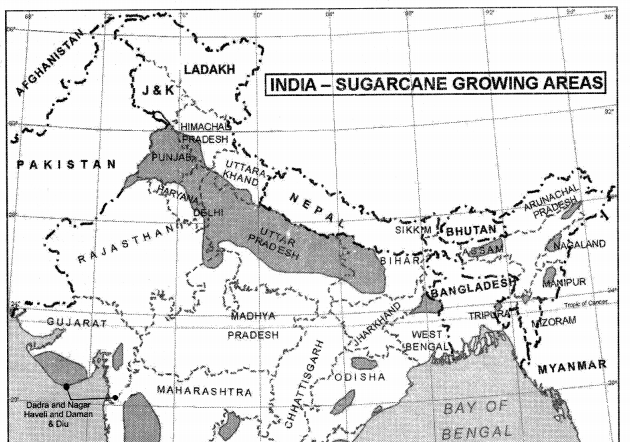 Geography Class 12 Important Questions Chapter 5 Land Resources and Agriculture 5