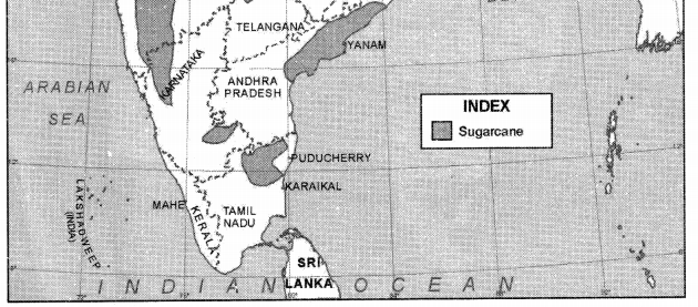 Geography Class 12 Important Questions Chapter 5 Land Resources and Agriculture 6