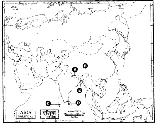 Political Science Class 12 Important Questions Chapter 5 Contemporary South Asia img-1