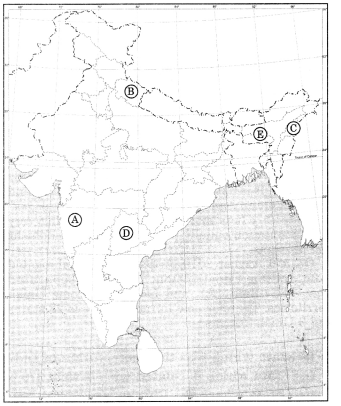 Political Science Class 12 Important Questions Chapter 8 Regional Aspirations im-2