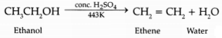 CBSE Sample Papers for Class 10 Science Set 4 with Solutions