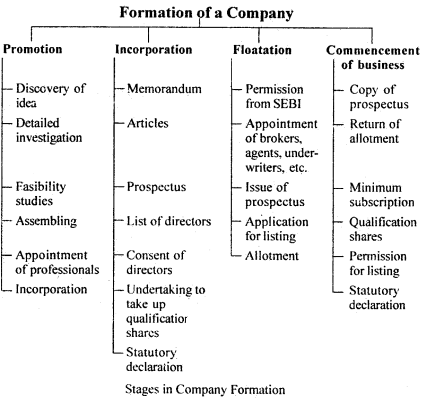 case study on formation of company class 11