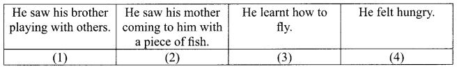 CBSE Sample Papers for Class 10 English Set 1 with Solutions 3