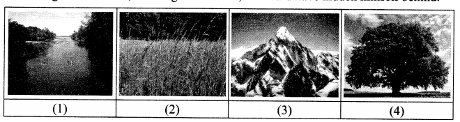 CBSE Sample Papers for Class 10 English Set 5 with Practice 3
