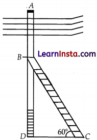CBSE Sample Papers for Class 10 Maths Basic Set 5 with Solutions 7