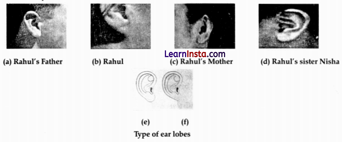 CBSE Sample Papers for Class 10 Science Set 1 with Solutions 12