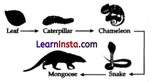 CBSE Sample Papers for Class 10 Science Set 1 with Solutions 5