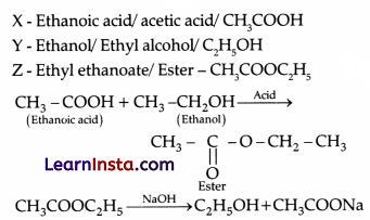 CBSE Sample Papers for Class 10 Science Set 1 with Solutions 9