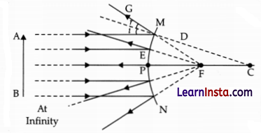 CBSE Sample Papers for Class 10 Science Set 2 with Solutions 17