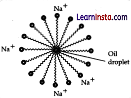 CBSE Sample Papers for Class 10 Science Set 3 with Solutions 13