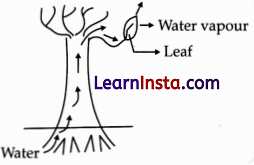 CBSE Sample Papers for Class 10 Science Set 3 with Solutions 2