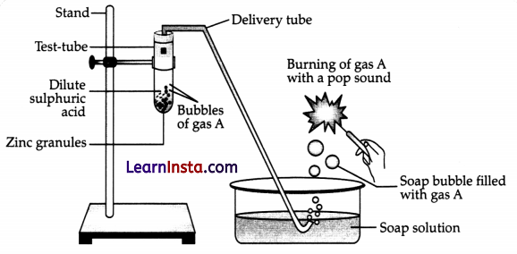 CBSE Sample Papers for Class 10 Science Set 3 with Solutions