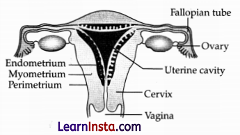 CBSE Sample Papers for Class 10 Science Set 4 with Solutions 15