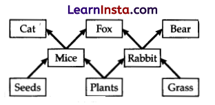 CBSE Sample Papers for Class 10 Science Set 4 with Solutions 2