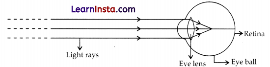 CBSE Sample Papers for Class 10 Science Set 4 with Solutions 3