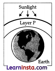 CBSE Sample Papers for Class 10 Science Set 4 with Solutions 5