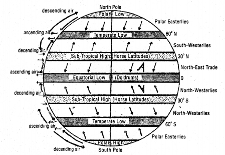 Class 11 Geography Important Questions Chapter 10 Atmospheric Circulation and Weather Systems im-2