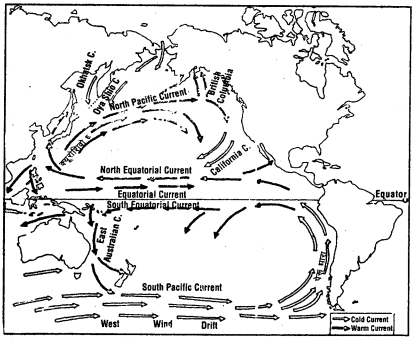 Class 11 Geography Important Questions Chapter 14 Movements of Ocean Water im-1