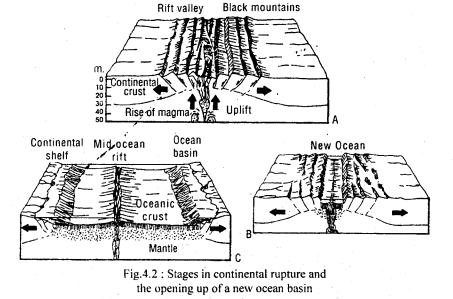 Class 11 Geography Important Questions Chapter 4 Distribution of Oceans and Continents im-2