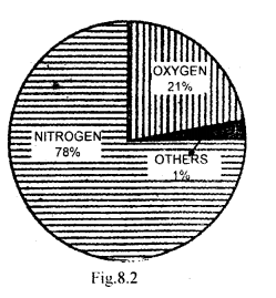 Class 11 Geography Important Questions Chapter 8 Composition and Structure of Atmosphere im-1