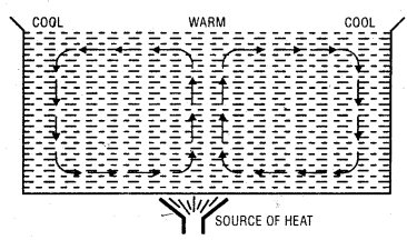 Class 11 Geography Important Questions Chapter 9 Solar Radiation, Heat Balance and Temperature im-3