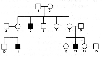 Class 12 Biology Important Questions Chapter 5 Principles of Inheritance and Variation 11