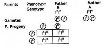 Class 12 Biology Important Questions Chapter 5 Principles of Inheritance and Variation 17