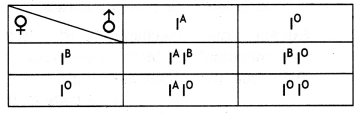 Class 12 Biology Important Questions Chapter 5 Principles of Inheritance and Variation 3