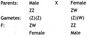 Class 12 Biology Important Questions Chapter 5 Principles of Inheritance and Variation 5