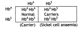 Class 12 Biology Important Questions Chapter 5 Principles of Inheritance and Variation 6