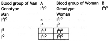 Class 12 Biology Important Questions Chapter 5 Principles of Inheritance and Variation 9