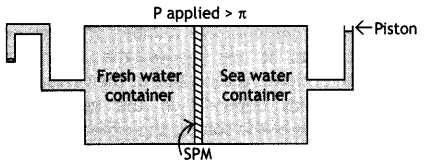 Class 12 Chemistry Important Questions Chapter 2 Solution 1