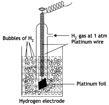 Class 12 Chemistry Important Questions Chapter 3 Electrochemistry 12