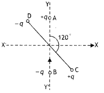 Class 12 Physics Important Questions Chapter 1 Electric Charges and Fields 15