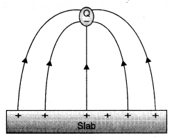 Class 12 Physics Important Questions Chapter 1 Electric Charges and Fields 2