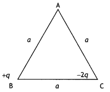 Class 12 Physics Important Questions Chapter 1 Electric Charges and Fields 24