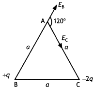 Class 12 Physics Important Questions Chapter 1 Electric Charges and Fields 25