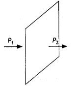 Class 12 Physics Important Questions Chapter 1 Electric Charges and Fields 33