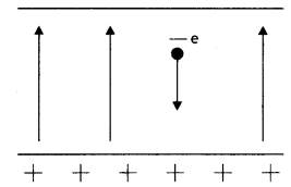 Class 12 Physics Important Questions Chapter 1 Electric Charges and Fields 37