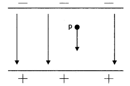 Class 12 Physics Important Questions Chapter 1 Electric Charges and Fields 38