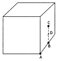 Class 12 Physics Important Questions Chapter 1 Electric Charges and Fields 39